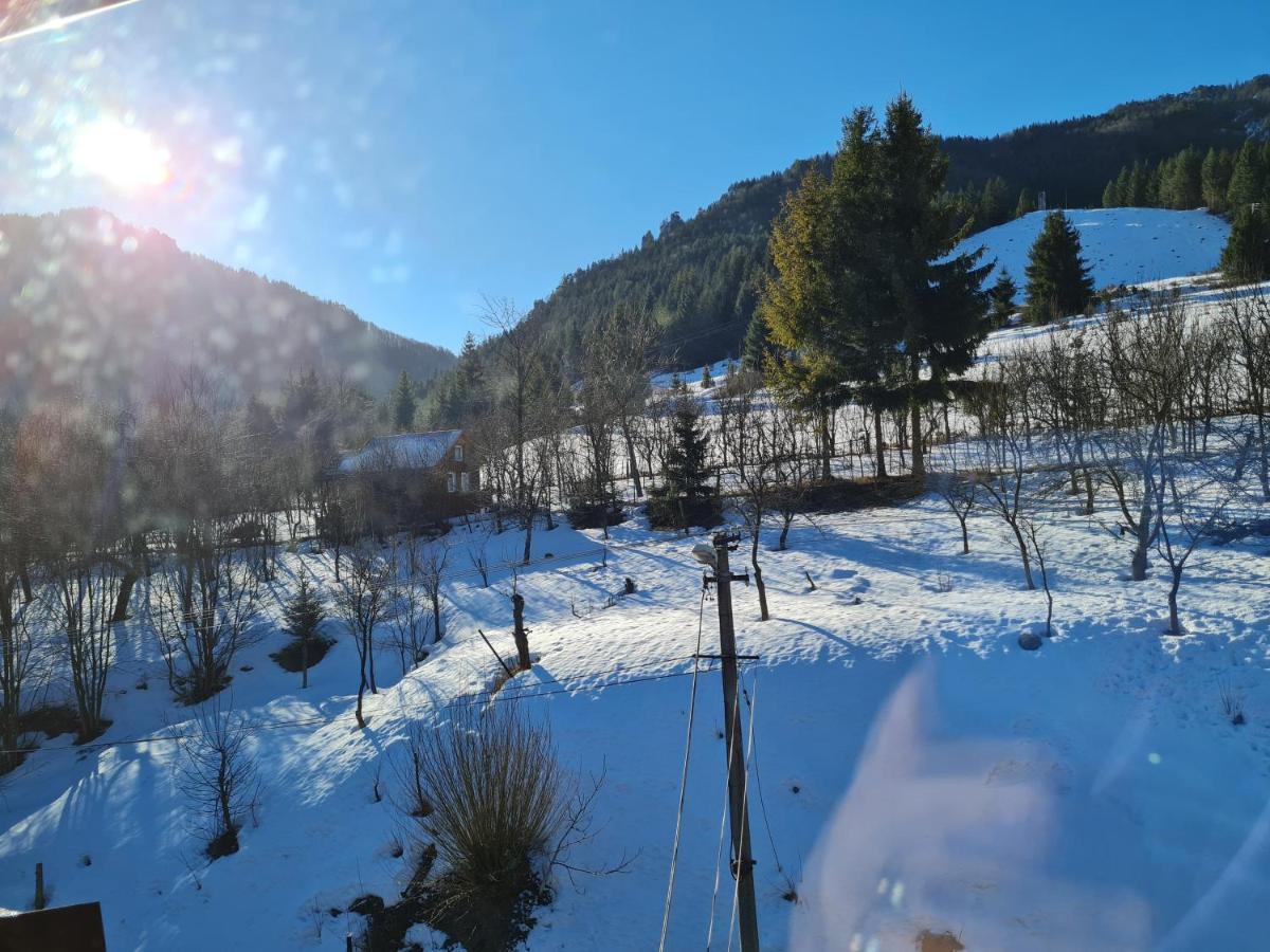 Penzion Mala Fatra U Durka Žilina Buitenkant foto